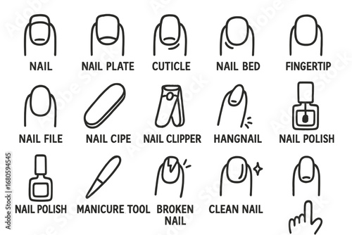 Cartoon Nail Tools. Hand-drawn doodle illustration nail nail plate, cuticle, nail bed, fingertip, nail root, lunula, nail file,