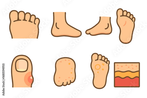 Children's Foot Anatomy. Flat vector mini-illustrations foot anatomy in colors children's illustrations: toes, heel, arch, sole,