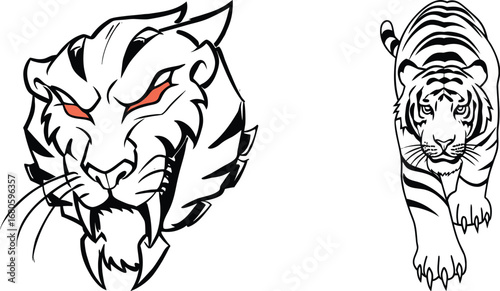 Tiger Art Yin Yang Realistic and Stylized Designs