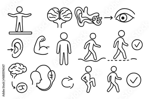 Balance System Icons. Hand-drawn doodle illustration cerebellum and balance balance beam icon, cerebellum, inner ear icon,