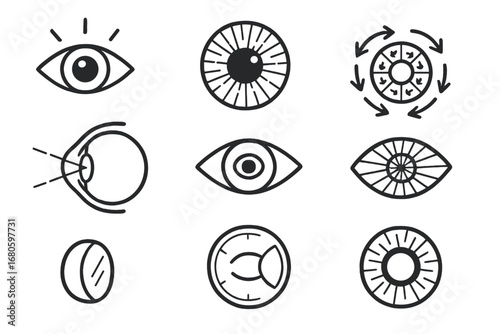 Eye Anatomy Doodle. Hand-drawn doodle illustration iris eye, iris, pupil, light rays, circular muscle, radial muscle, eye