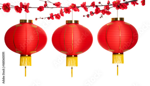 Beautiful Chinese New Year lantern set on white background