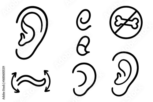 Ear Anatomy Doodle. Hand-drawn doodle illustration ear cartilage outer ear, pinna shape, ear fold, cartilage outline, soft curve,