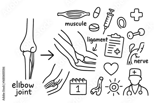 Elbow Joint Doodle. Hand-drawn doodle illustration elbow joint movement elbow joint, muscle, ligament, nerve, syringe, pill,