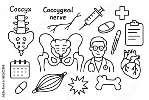 Medical Doodle Icons. Hand-drawn doodle illustration coccyx coccygeal nerve coccyx, nerve, pelvis, syringe, pill, clipboard,