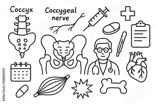 Medical Doodle Icons. Hand-drawn doodle illustration coccyx coccygeal nerve coccyx, nerve, pelvis, syringe, pill, clipboard,