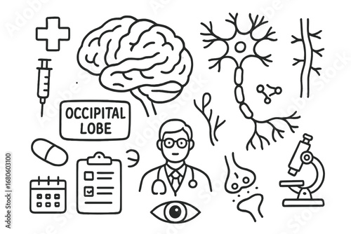 Occipital Lobe Doodle. Hand-drawn doodle illustration occipital lobe neural pathways occipital lobe, brain, neuron, synapse, nerve
