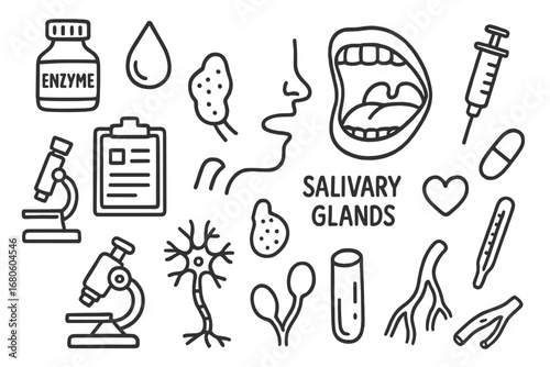 Salivary Glands Doodle. Hand-drawn doodle illustration salivary glands gland function enzyme bottle, saliva droplet, salivary