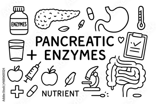 Pancreatic Enzyme Doodle. Hand-drawn doodle illustration pancreatic enzymes digestion enzyme bottle, pancreas, stomach, intestines