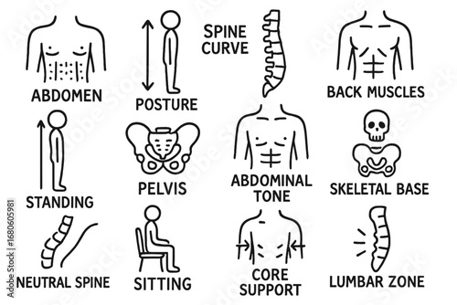 Posture and Spine Alignment. Hand-drawn doodle illustration abdomen and posture torso alignment, spine curve, core balance,
