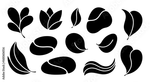A collection of various abstract black leaf and organic shapes isolated on a white background. Minimalist vector elements for logos, icons, and design.
