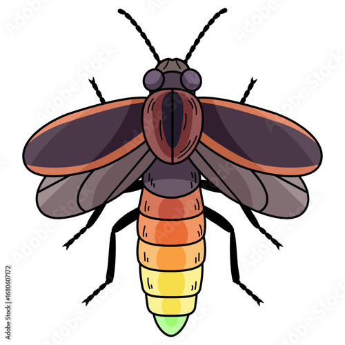 Firefly beetle with glowing abdomen illustration. Bioluminescence in nature. Children’s book style insect drawing. Nature and entomology concept for kids education.