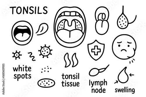 Throat Health Icons. Hand-drawn doodle illustration tonsils tonsils, throat, uvula, tongue, mouth open, lymph node, immune shield,