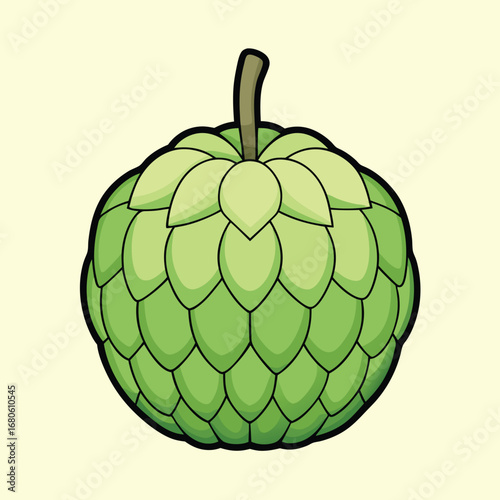 Illustration of a green cherimoya fruit with a black outline and light background