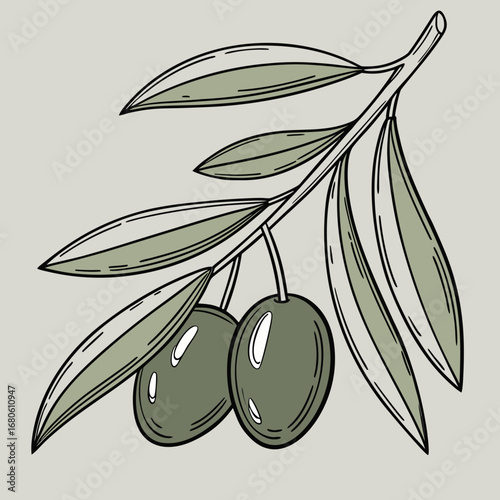 Stylized illustration of a green olive branch with two olives and leaves on a neutral background