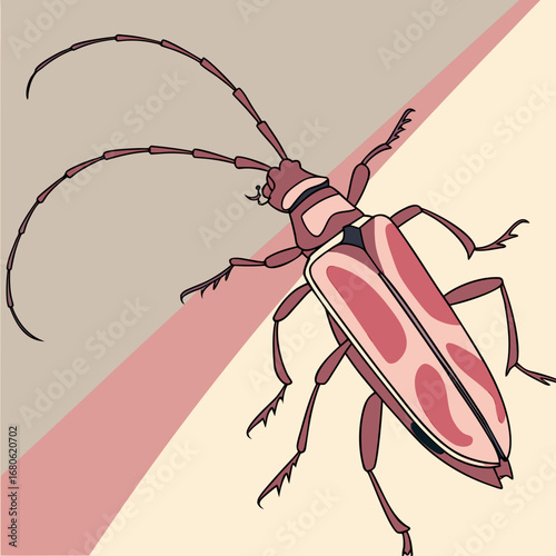 bug vector illustration