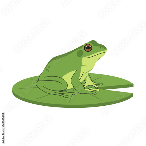 Green frog resting on a lily pad by the pond  
