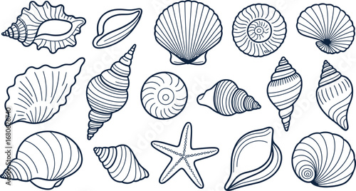 Collection of Seashells and Starfish Line Art