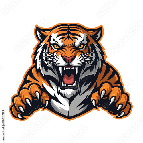 Fierce roaring tiger head with sharp claws, an aggressive mascot emblem vector illustration for a sports team