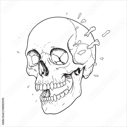Vector art of skull with cracks