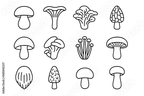 Edible Mushroom Icons. Outline icon set of popular edible mushrooms: porcini, chanterelle, oyster mushroom,
