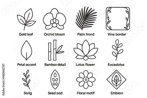 Luxury Botanical Icons. Outline icon set of luxury botanical packaging: gold leaf, orchid bloom, palm frond,