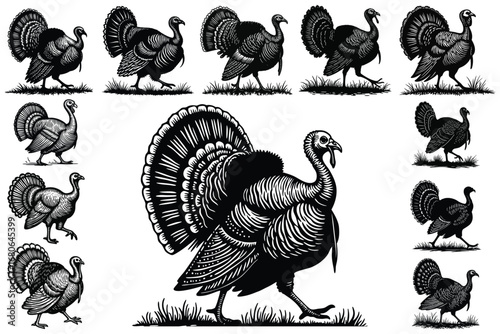 Multiple black turkey silhouettes in woodcut style