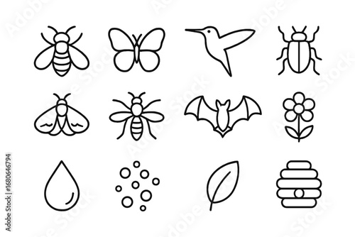 Pollinator Icons Grid. Outline icon set of pollinator diversity: bee, butterfly, hummingbird, beetle, moth,