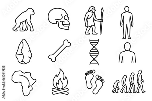 Human Evolution Icons. Outline icon set of human evolution: ape silhouette, hominid skull, caveman, spear,
