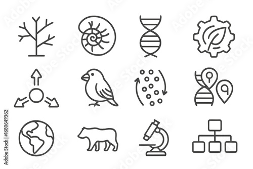 Evolutionary Biology Icons. Outline icon set of evolutionary biology: tree of life, fossil, DNA strand,