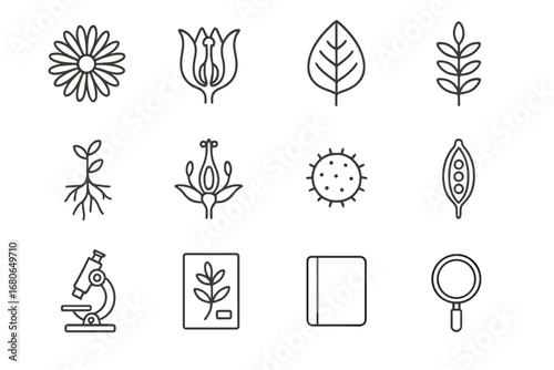 Botanical Study Icons. Outline icon set of botanical studies: daisy sketch, tulip cross-section, leaf