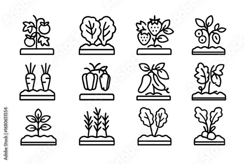 Edible Plant Icons. Outline icon set of mixed edible plant beds: tomato, lettuce, strawberry, blueberry bush,