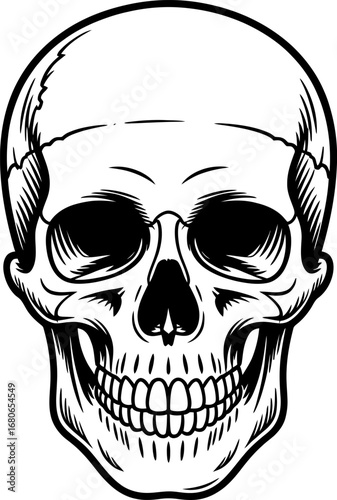 A detailed black and white illustration of a human skull, conveying a sense of mortality and mystery.