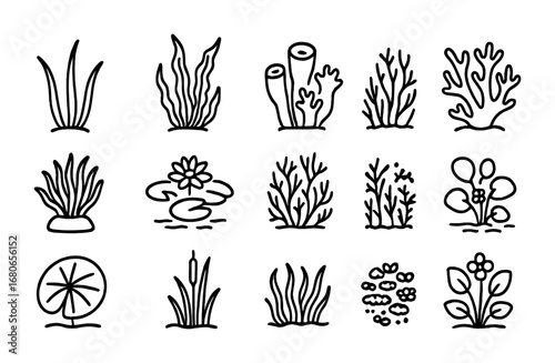 Underwater Vegetation Icons. Outline icon set of underwater vegetation: seagrass, kelp forest, sponge, coral