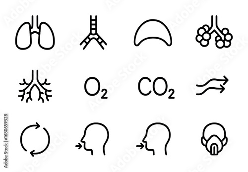 Breathing Science Icons. Outline icon set of The science of breathing: lungs, trachea, diaphragm, alveoli,