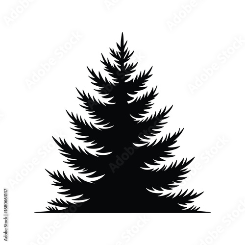 Silhouette of a lush green pine tree with detailed needles and a textured appearance