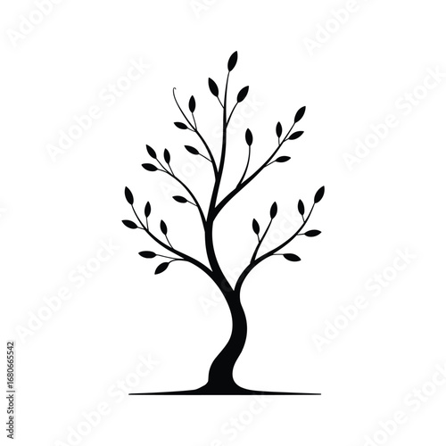 Elegant silhouette of a young tree with delicate branches and sparse leaves