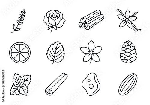 Perfume Ingredient Icons. Outline icon set of natural ingredients for perfume: lavender sprig, rose blossom,