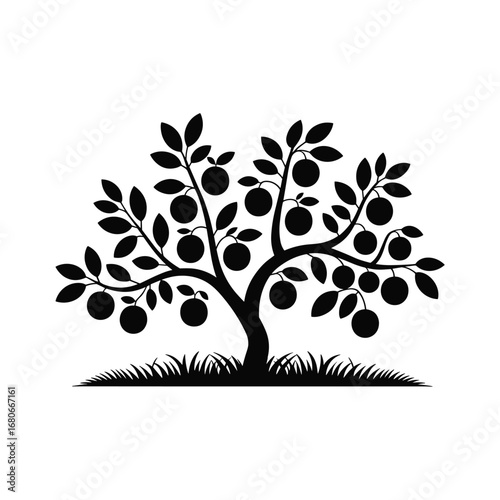 Silhouette of a fruit tree with ripe oranges and lush green grass underneath