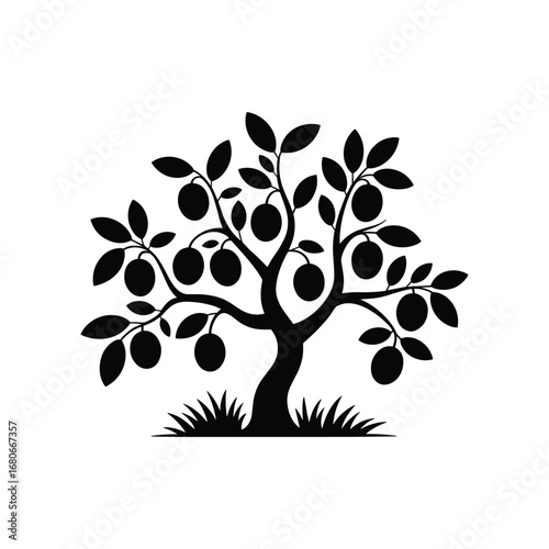 Silhouette of a fruitful plum tree with lush leaves and ripe fruits on a