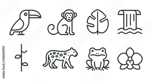 Rainforest Icons Grid. Outline icon set of rainforest references: toucan, monkey, big leaf, waterfall, vine,