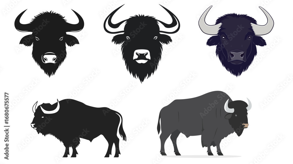 Fototapeta premium Buffalo Black Silhouette Vector Graphic Design