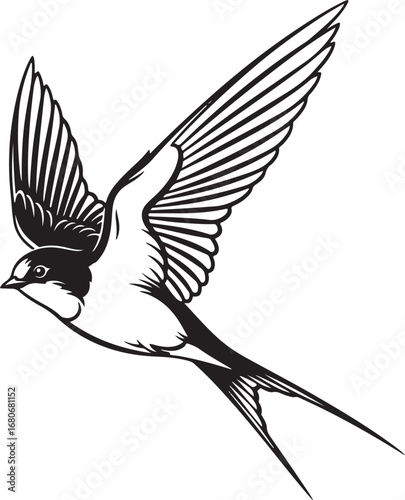 swallow Line Art Vector Illustration