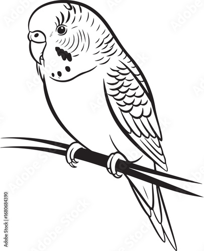 parakeet Line Art Vector Illustration