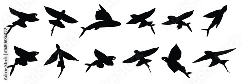 collection of vector illustrations of flying fish silhouettes