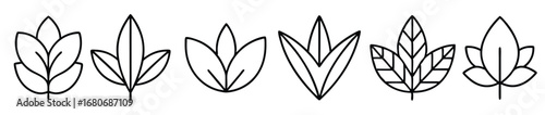  leaf plant art decorative collection