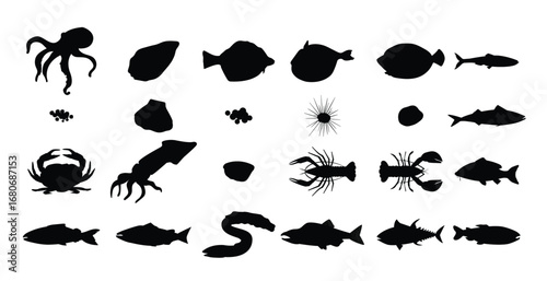 Freshwater and Sea Fish and Delicacies vector illustration