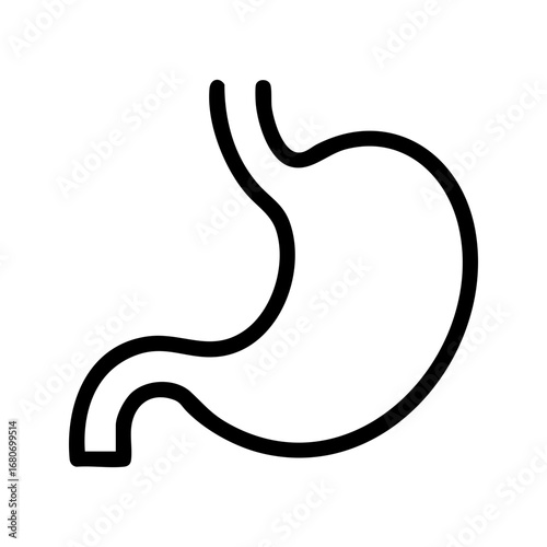 Human stomach vector illustration