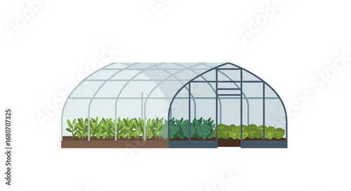 Greenhouse farming: organic vegetable growth in modern poly tunnel
