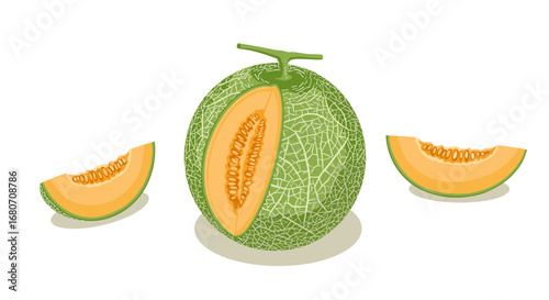 Realistic cantaloupe with slices on white background